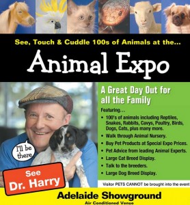 animal-expo-square1